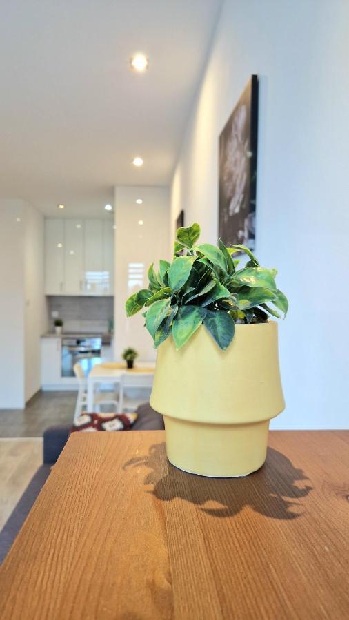 Apartament Czechowska Comfort Lublin Zewnętrze zdjęcie